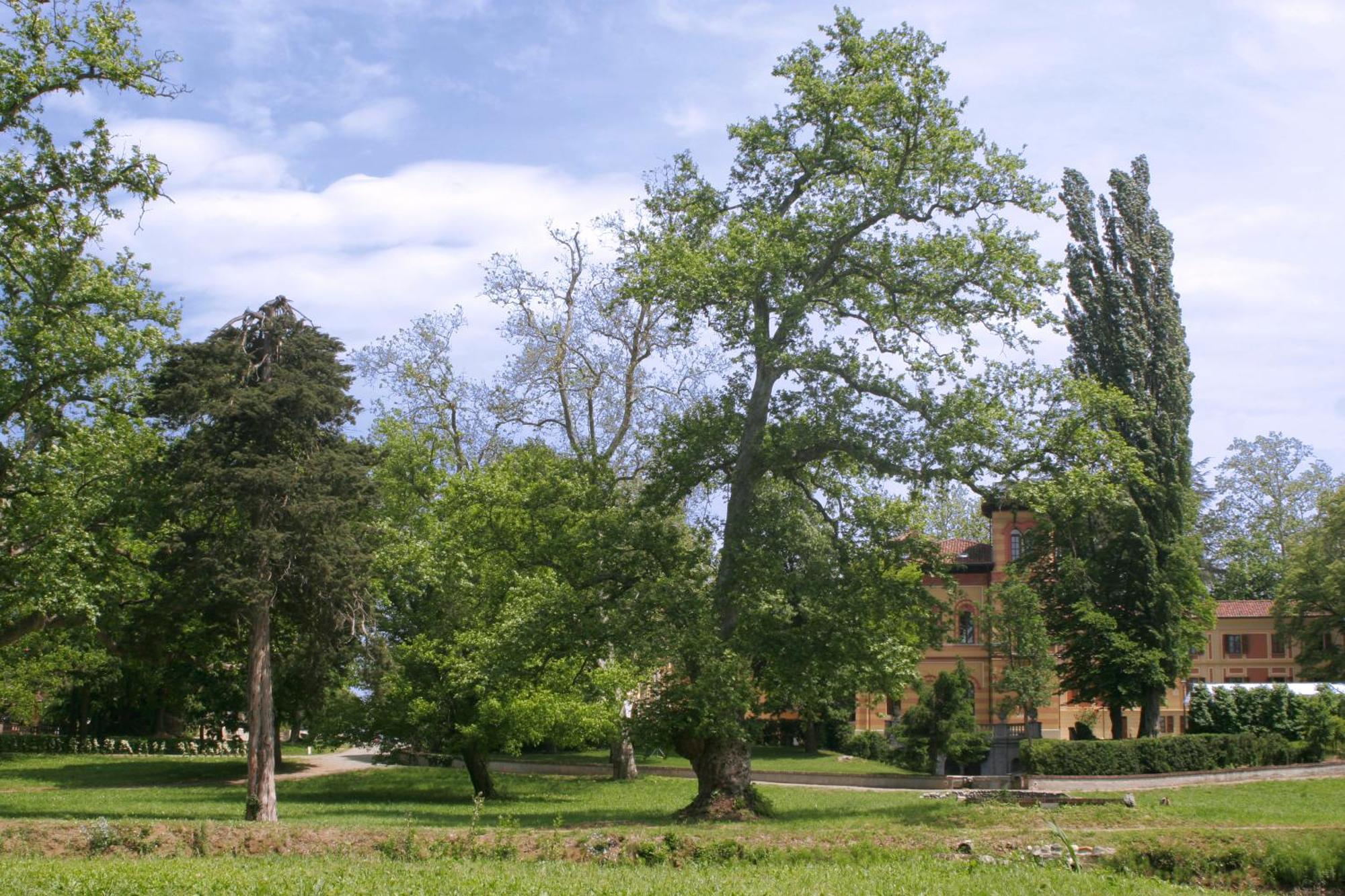 Villa Scati Bed And Breakfast Melazzo Kültér fotó